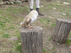 Balade en Ariège 2014