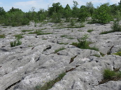 BOURGOGNE et FRANCHE-COMTE