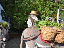 Les  Gardois Chusclan 2013