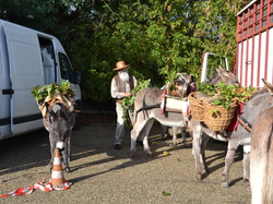Les Gardois Chusclan 2013
