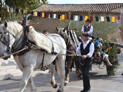Les Gardois Chusclan 2013