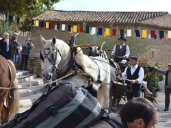 Les  Gardois Chusclan 2013