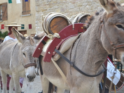 Les Gardois Chusclan 2013