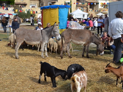 Les Gardois Chusclan 2013