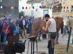 Les  Gardois Chusclan 2013