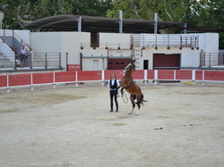 Concentration  des Gardois ccc sud