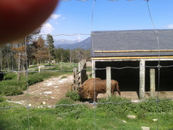 Corbières-Pyrénées