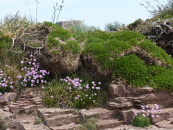 Du Mont Saint Michel a Poul Fétan 2013