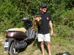 Informatique & danses folkloriques 2014