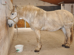 informatique et folklore