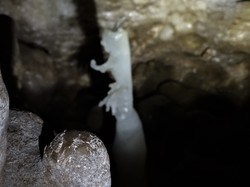 JAZZ AU PONT DE LARN