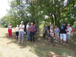 Les Bastides d' Avéyron et du Lot 2014