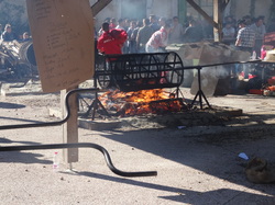 Les châtaignes st Pons