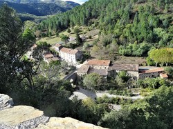 Les châtaignes st Pons