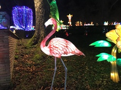 Les Lanternes de GAILLAC