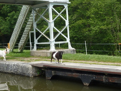 Loiret et bords de Loire 2013