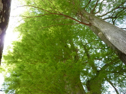 Loiret et bords de Loire 2013