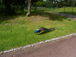 Loiret et bords de Loire 2013