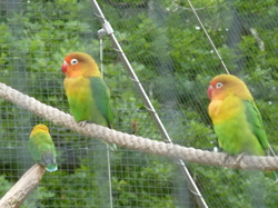 Loiret et bords de Loire 2013