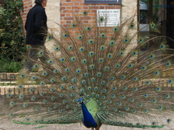 Loiret et bords de Loire 2013