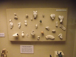 Prolongation  A.G. 2014