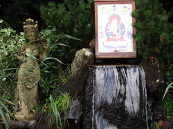 Prolongation A.G. 2014