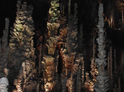 Prolongation  A.G. 2014