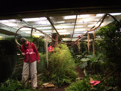 Prolongation  A.G. 2014