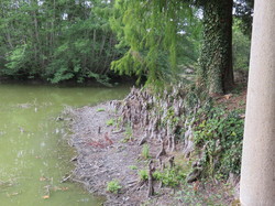 Sortie Auvergne -Bourdonnais