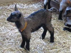 Sortie Auvergne -Bourdonnais