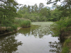 Sortie Auvergne -Bourdonnais