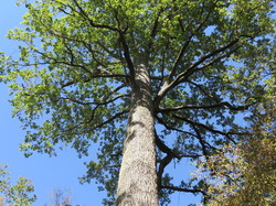 Sortie Auvergne -Bourdonnais