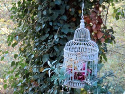 Sortie Auvergne -Bourdonnais