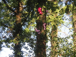 Sortie Auvergne -Bourdonnais