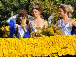 Sortie Bormes Les Mimosas