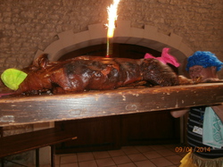 Sortie Charente Maritime 2014