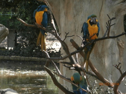 Sortie Charente Maritime 2014