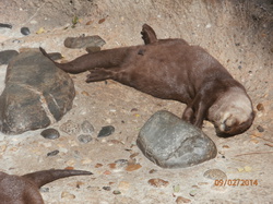 Sortie Charente Maritime 2014