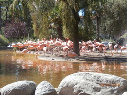 Sortie Charente Maritime 2014