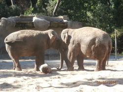 Sortie Charente Maritime 2014