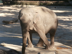 Sortie Charente Maritime 2014