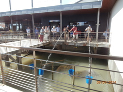 Sortie Charente Maritime 2014