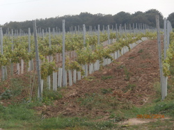 Sortie Charente Maritime 2014