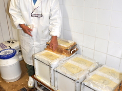 sortie  informatique