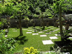 Sortie Languedoc 2015