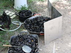 Sortie Languedoc 2015