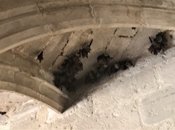 Sortie LOT-QUERCY-ROUERGUE