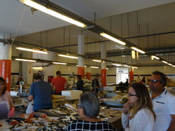 TOUR DU PORTUGAL 2018