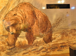 Transhumance  dans le Couserans