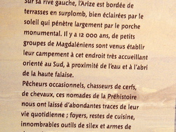 Transhumance  dans le Couserans